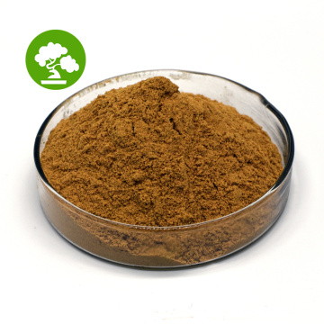 Supply Plant Extract Pure Lemon Balm leaf Extract